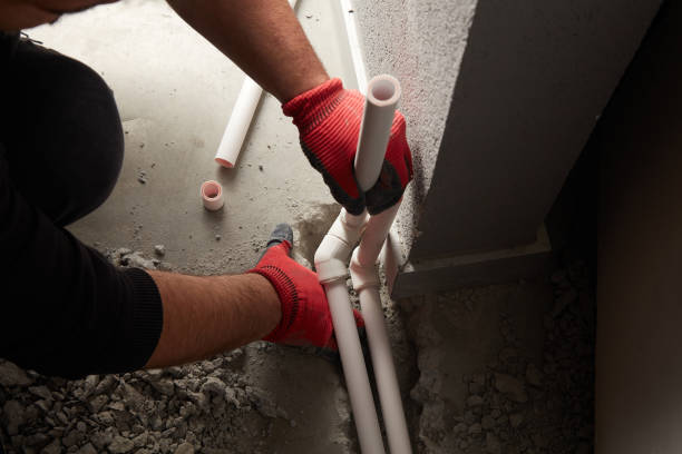 Best Local Plumber Services  in Pine Lawn, MO