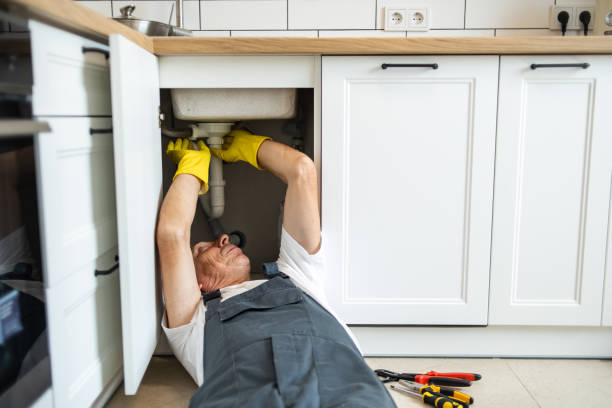 Best Plumbing Services Near Me  in Pine Lawn, MO