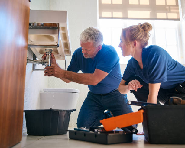 Best Plumbing Repair Near Me  in Pine Lawn, MO